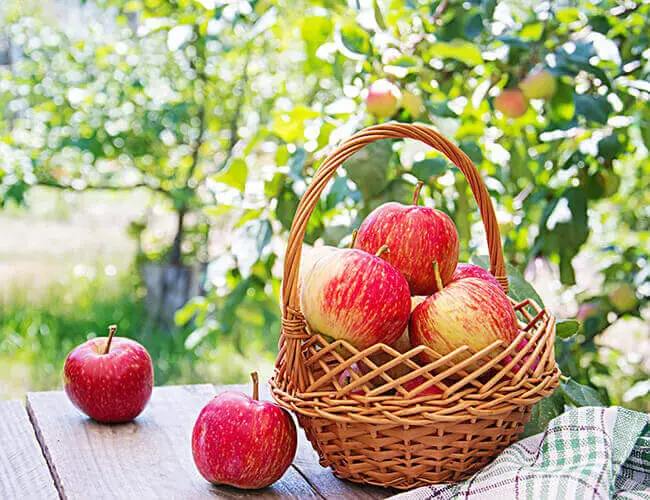 What You Should Know About Detox Water